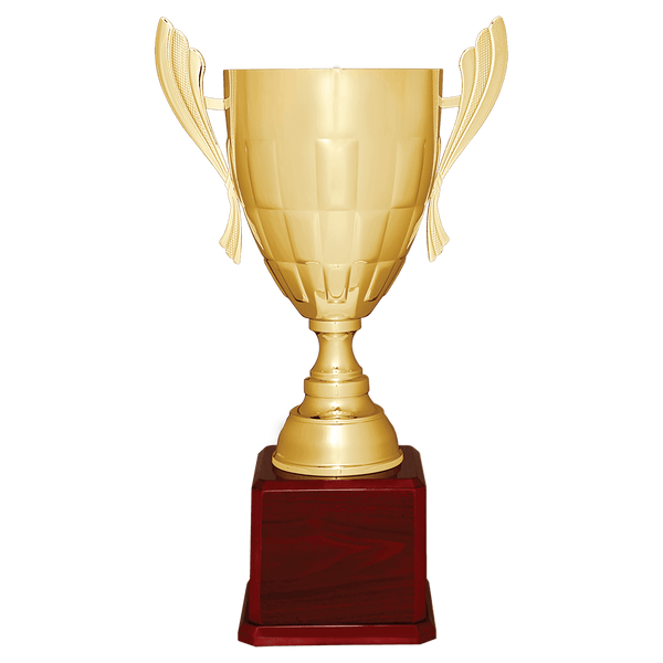 26 1/2" Gold Completed Metal Cup Trophy on Rosewood Royal Piano Finish Base