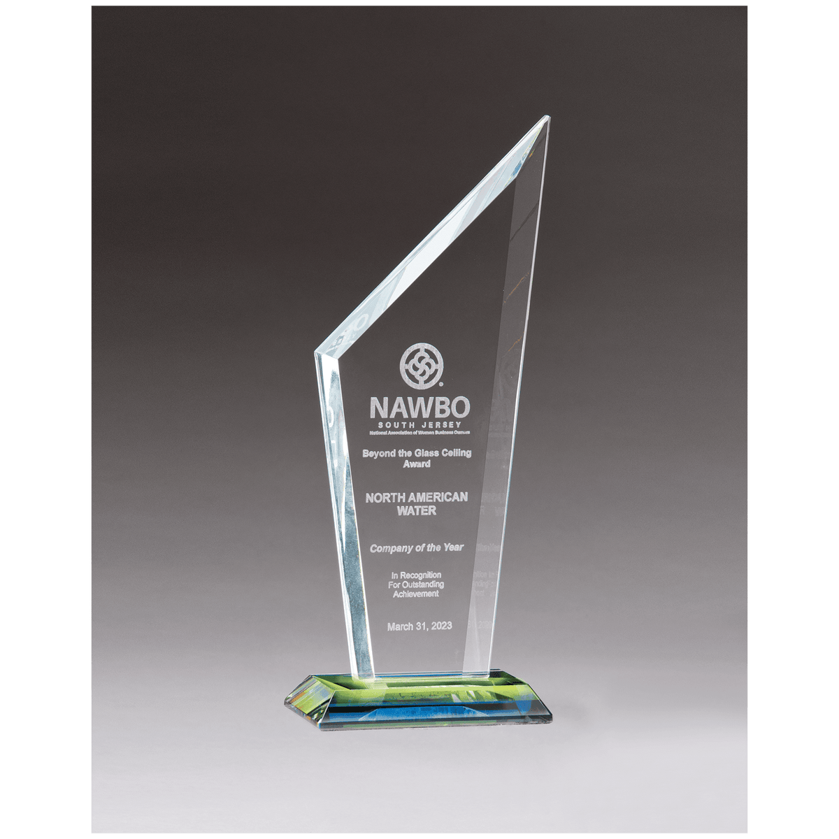 3 5/8" x 9 5/8" x 3/8" Thick Zenith Series Clear Glass with Prism-Effect Base